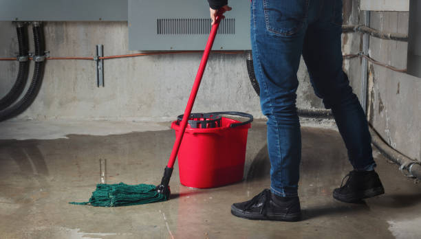 Best Local water damage restoration  in Lordstown, OH